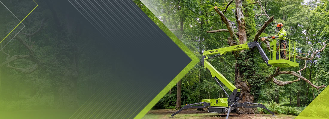 arborist-and-landscaping