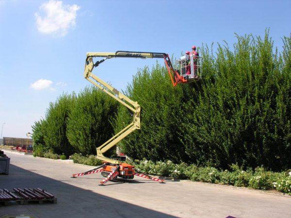 X17J Crawler Boom JLG